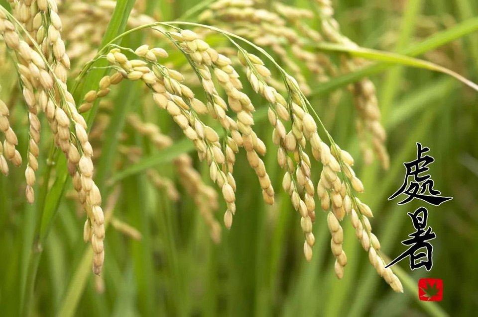 微信圖片_20210825172116